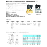 Нормально закрытый клапан косвенного действия 1,5" RSP-40-E-AC220V 0,3-16 bar
