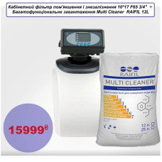 Кабінетний фільтр пом'якшення і знезалізнення 10*17 F65 3/4" + Multi Cleaner RAIFIL 12L
